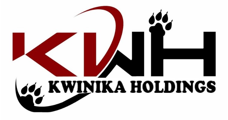Kwinika Holdings